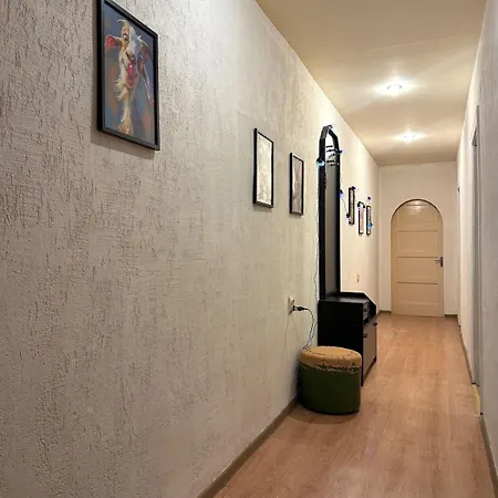 Pet-friendly In The Very Heart Of *