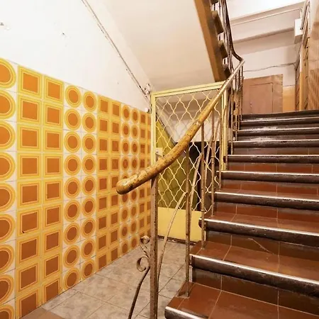 Pet-friendly In The Very Heart Of